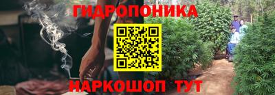 МДПВ Ливны