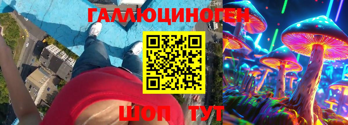Югорск  Псилоцибиновые грибы прущие грибы  Вход с VPN 